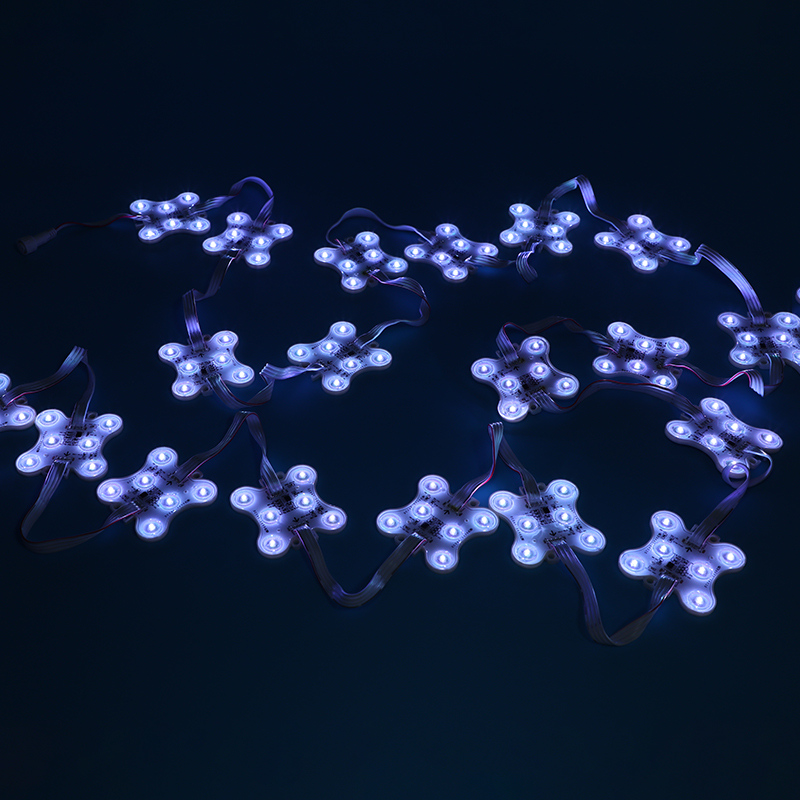 Six-lamp colorful module - waterproof version