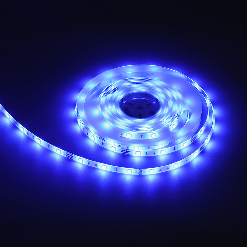 12V 5050 RGB 1-meter 60-lumen color-changing light strip (available in 30-lumen and 60-lumen versions)
