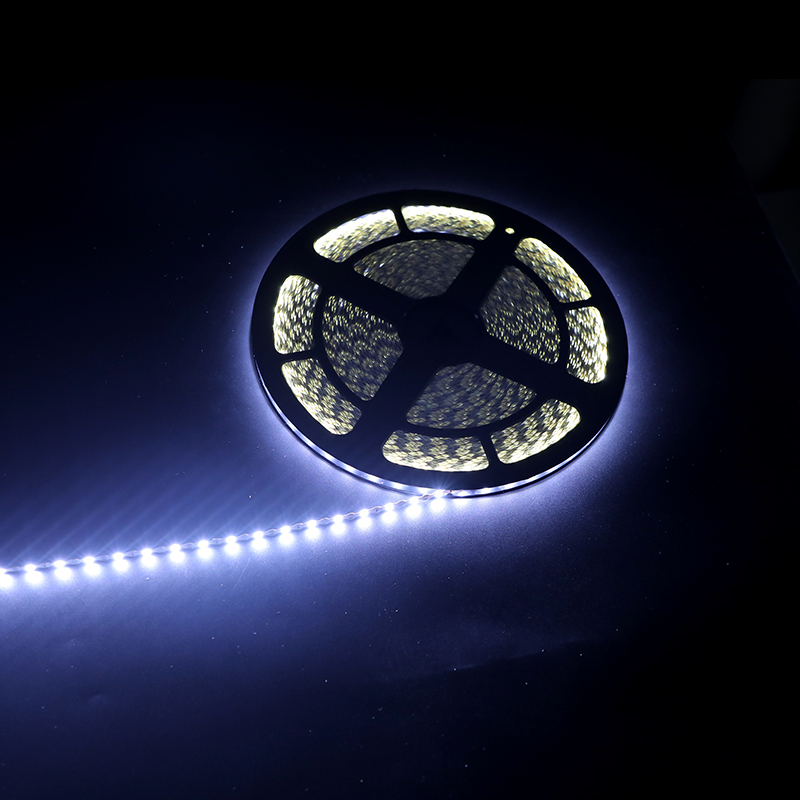 White light 60 bulb 12V