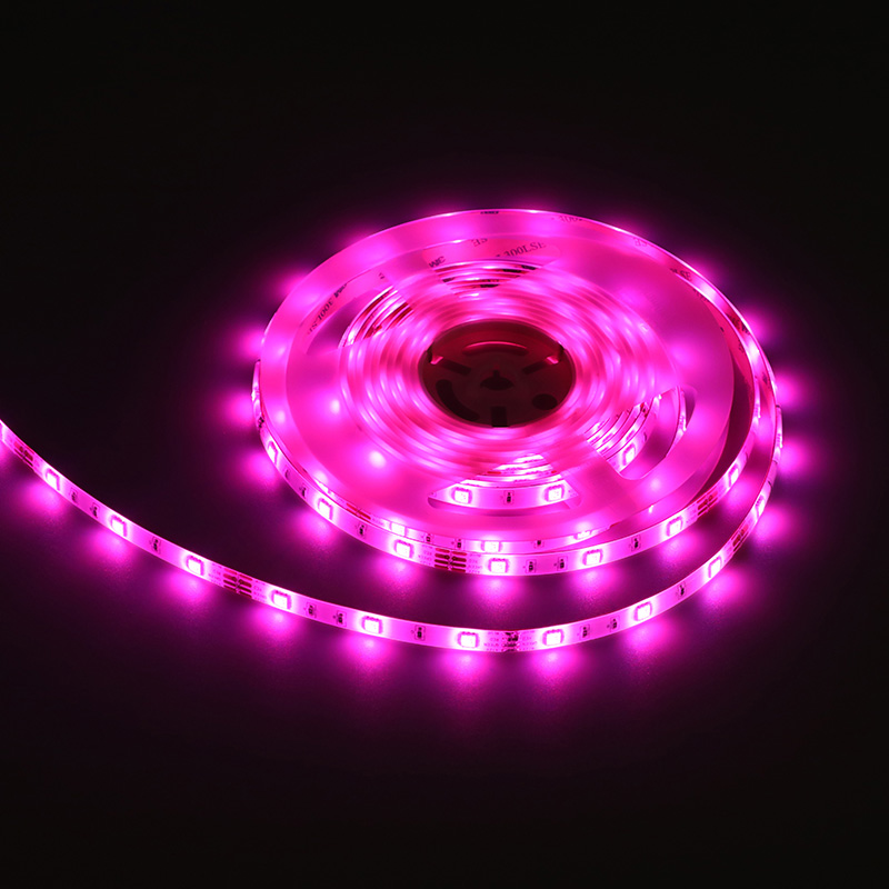 12V 5050 RGB 1-meter 60-lumen color-changing light strip (available in 30-lumen and 60-lumen versions)