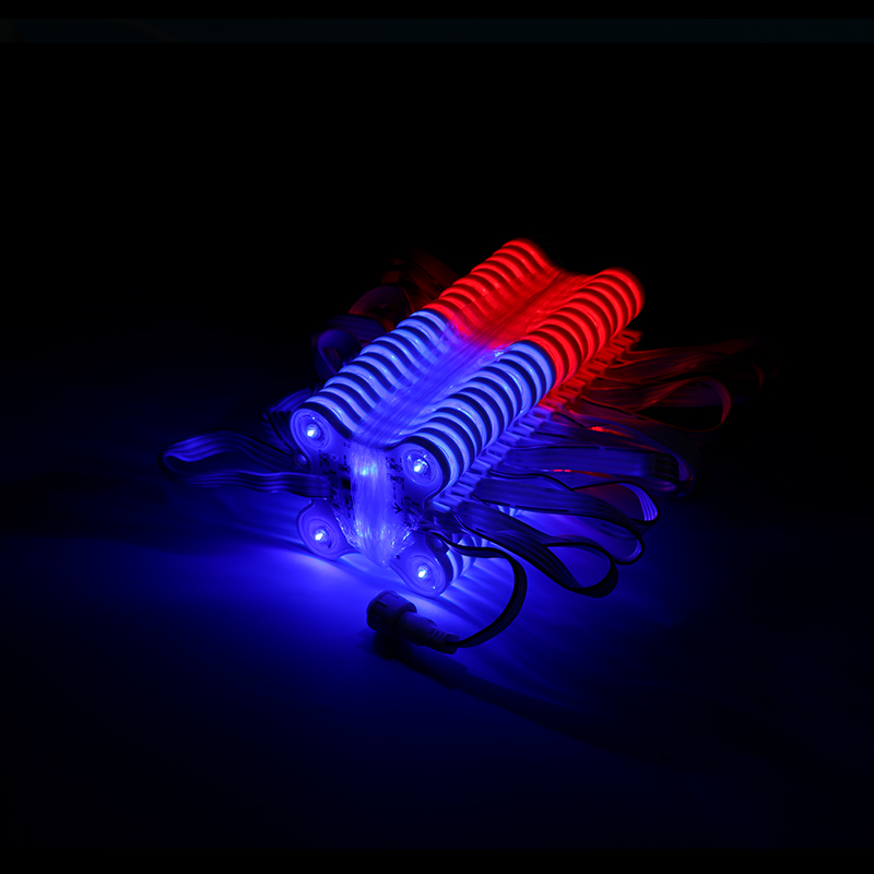 Six-lamp Color-Changing Module - Rainproof Version