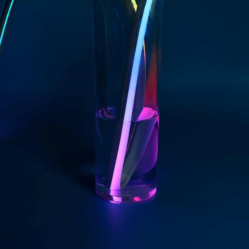 12V Colorful Silicone Light Strip